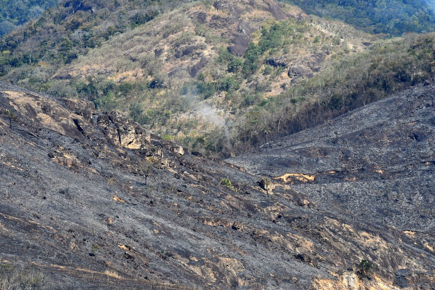 Hillside burned by wildfire, with smoke still rising